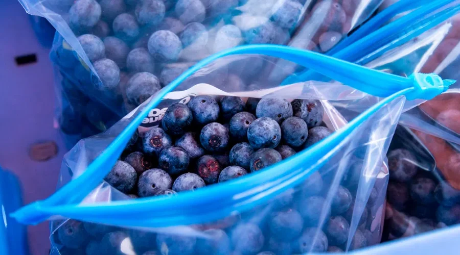 N.B. growers project solid wild blueberry crop this season