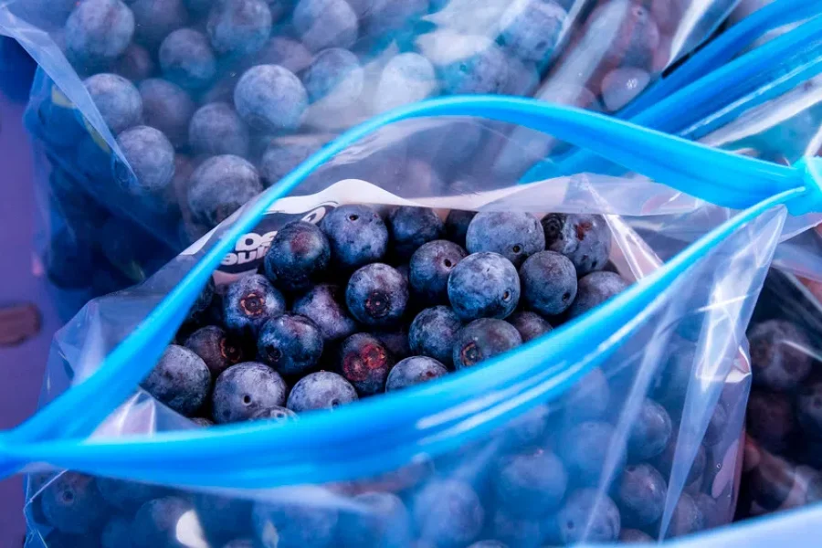 N.B. growers project solid wild blueberry crop this season