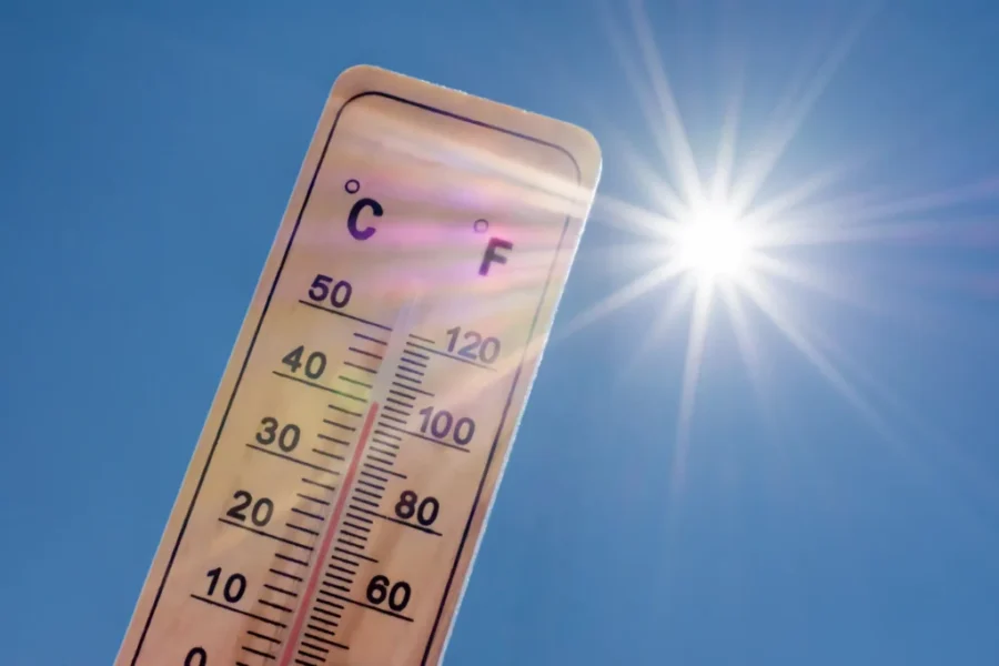 More heat warnings and more temperature records for N.B.