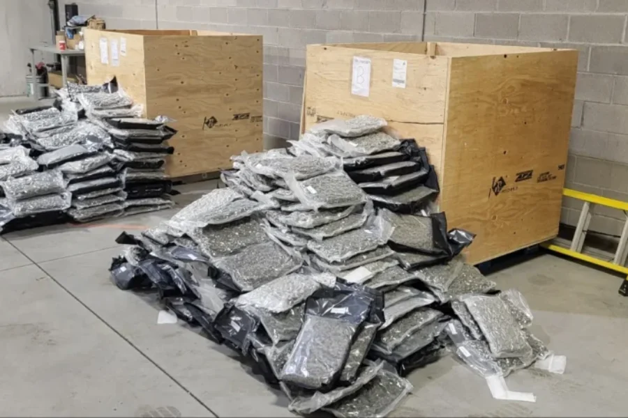 Illegal cannabis distribution network busted