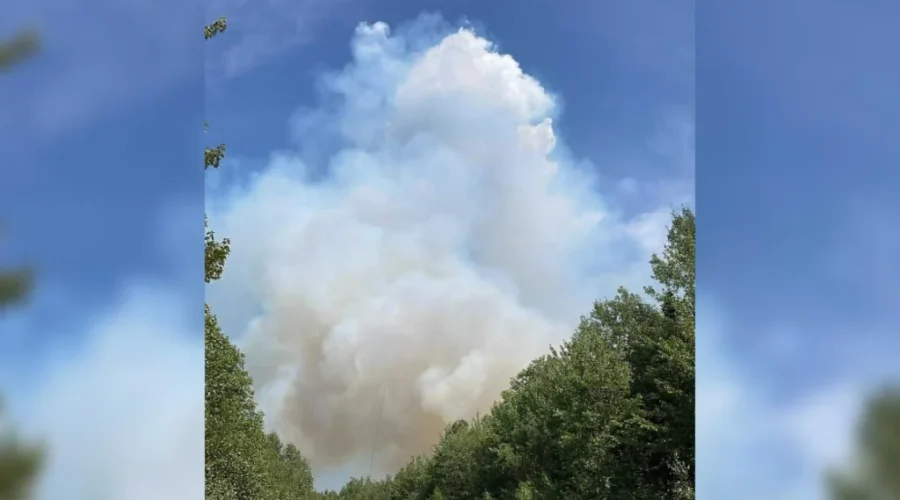 Help offered to Moncton area residents affected by forest fires