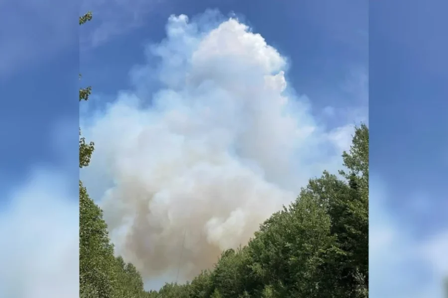 Help offered to Moncton area residents affected by forest fires