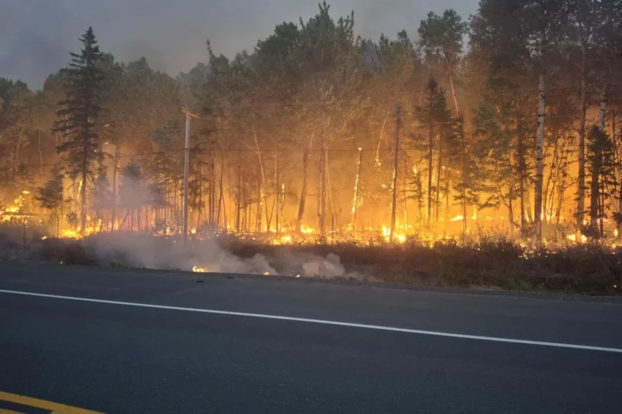 Some operations allowed to resume on Crown land