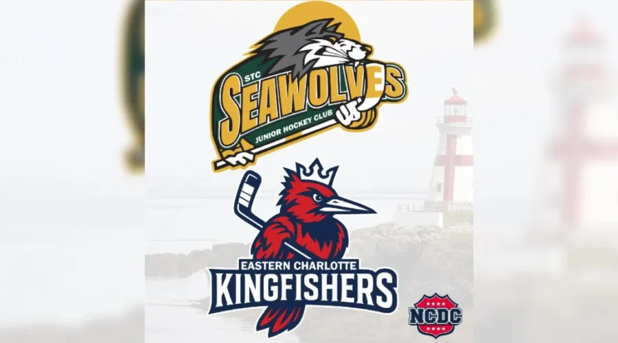 Eastern Charlotte Kingfishers sold to U.S. owner