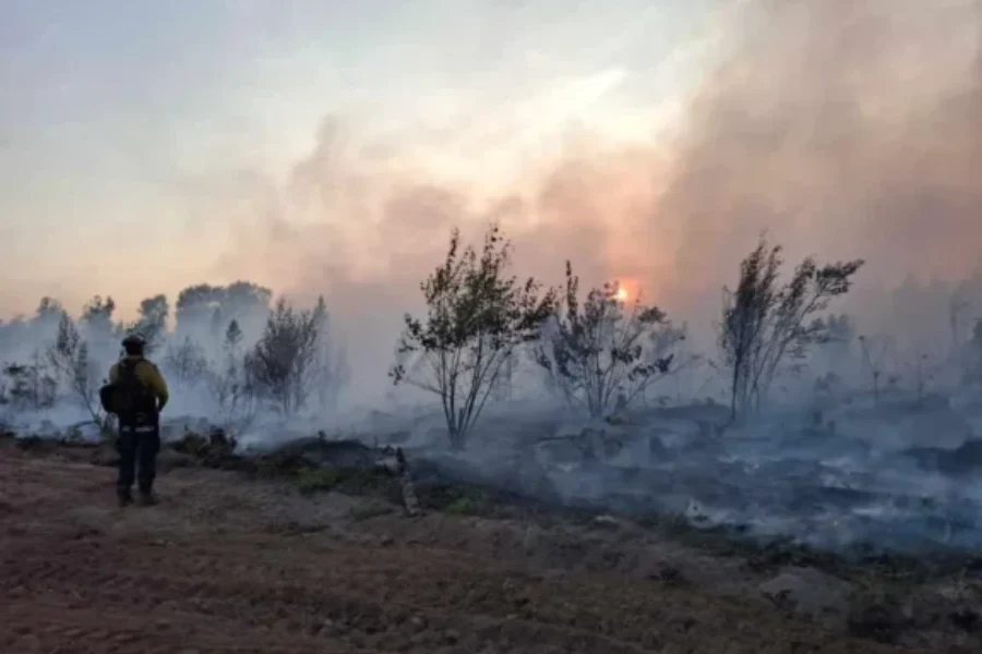 Wildfire conditions improving, but New Brunswickers much remain vigilant