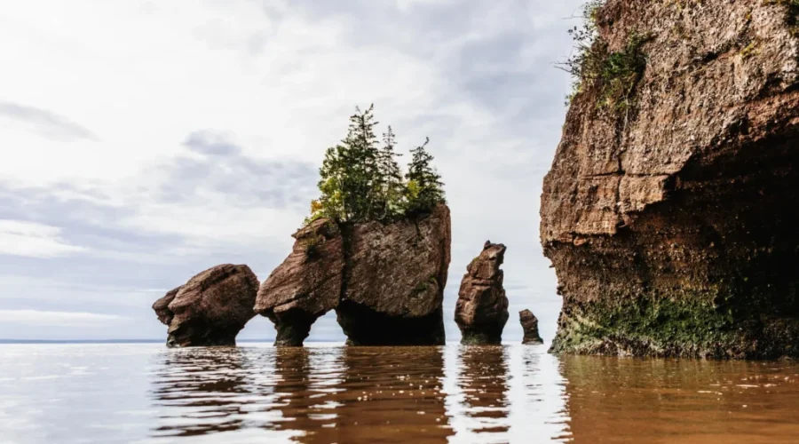 N.B. sees summer visitors from Ont., Que., and Maine