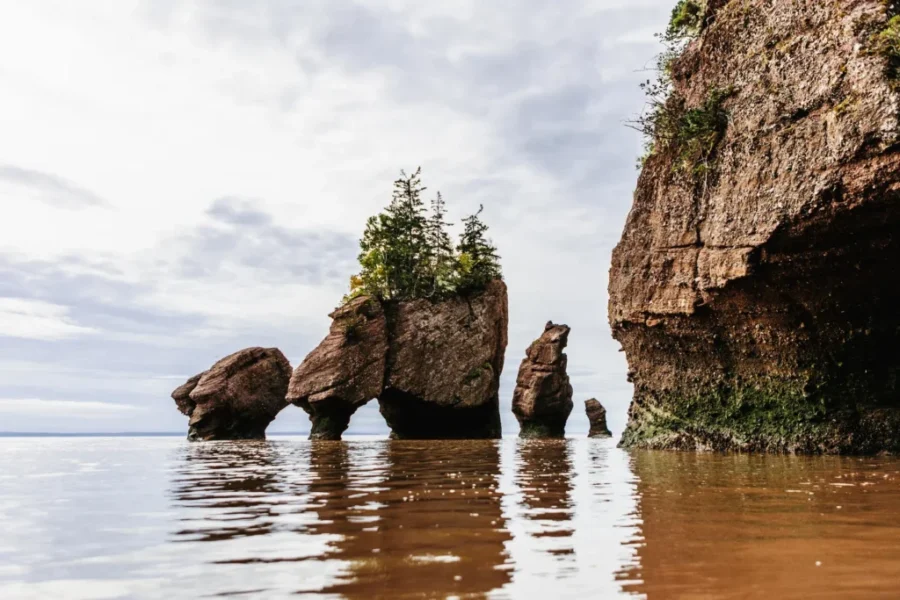 N.B. sees summer visitors from Ont., Que., and Maine
