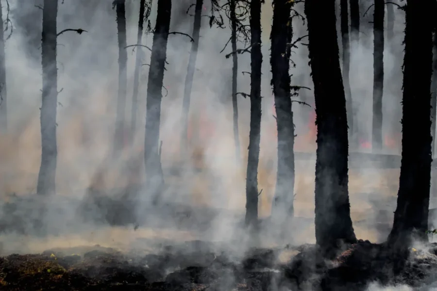 Forest fires continue to burn in New Brunswick