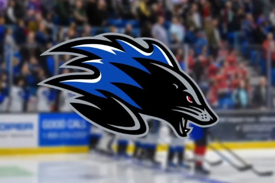 Sea Dogs gearing up with renewed focus and fresh faces