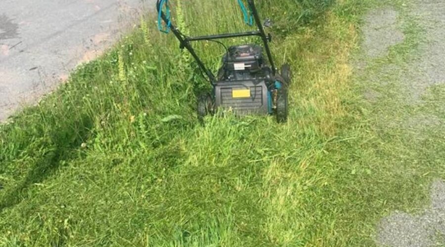 Let’s Clean Up Saint John: Every Act of Care Counts