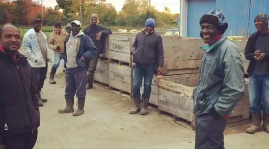 Jamaican workers heading from N.S. farm to devastation after Melissa