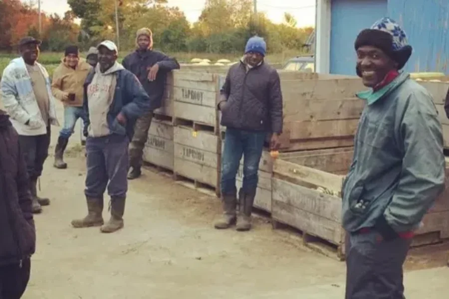 Jamaican workers heading from N.S. farm to devastation after Melissa