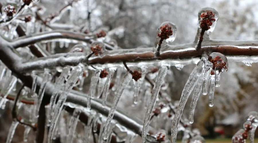 Freezing rain warning for parts of N.B.