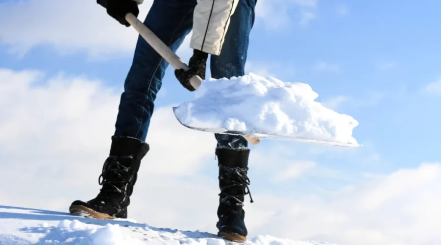 Up to 20 cm of snow expected in southern N.B.