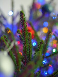 green pine tree with red and yellow string lights