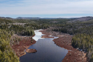 Welsford Falls Welsford Falls