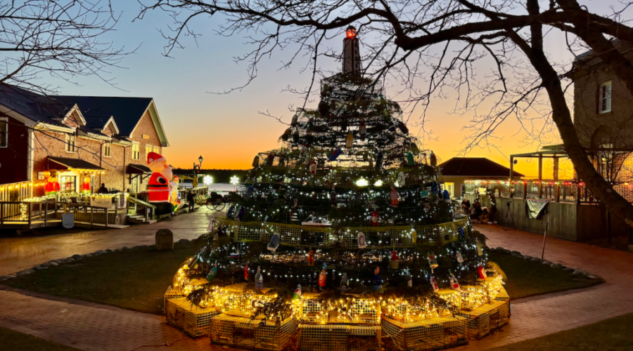 Christmas by the Sea in St. Andrews