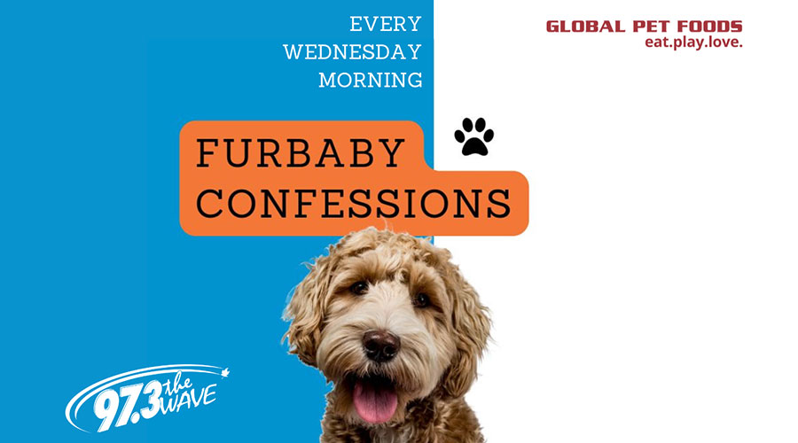 Furbaby Confessions