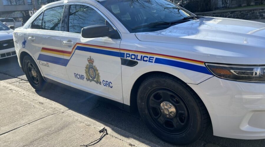 N.S. boy dies after attacked by 3 dogs
