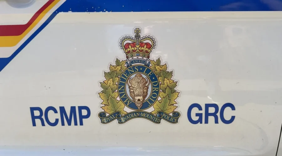 Dieppe woman dead after falling from truck: police