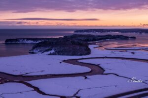 ren12Photo by Renzbu WildLens Photo by Renzbu WildLens