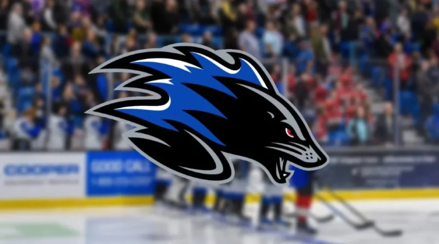 Sea Dogs assistant takes position in Sherbrooke