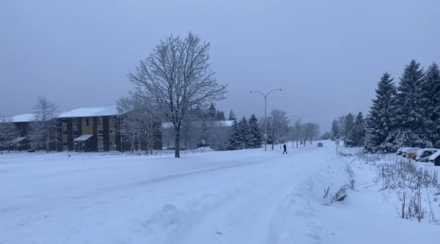 Snowy start for southern N.B.