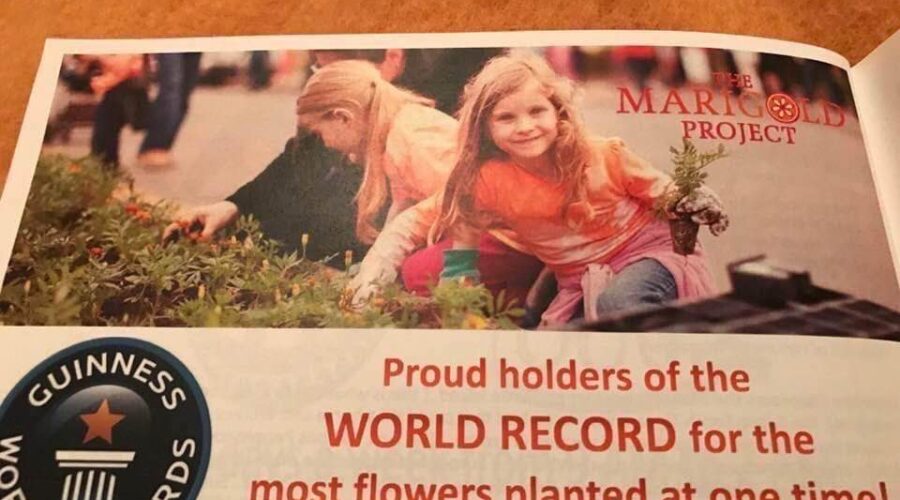 Saint John Blossoms: Children Start Planting as 29-Year Marigold Tradition Continues to Grow
