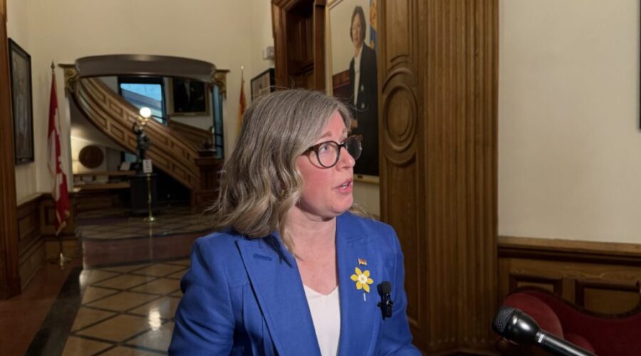 N.B. unveils economic strategy in the face of global uncertainty