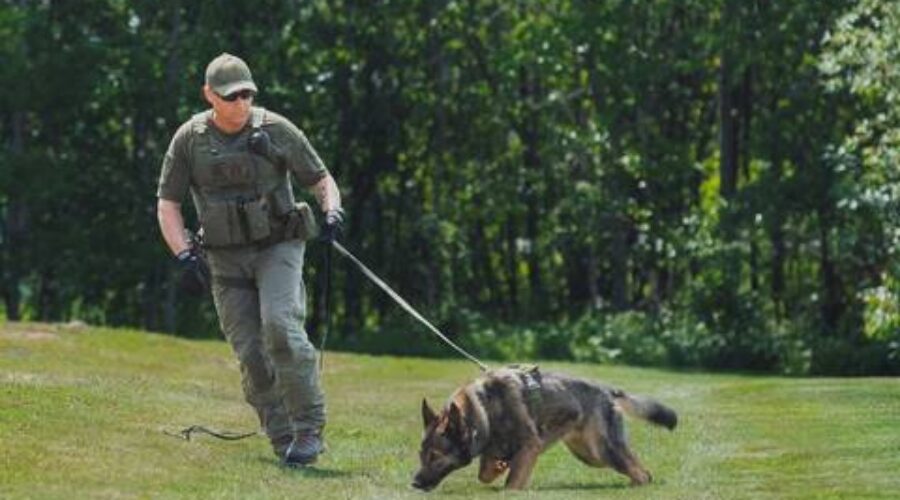 Missing man located safely in wooded area