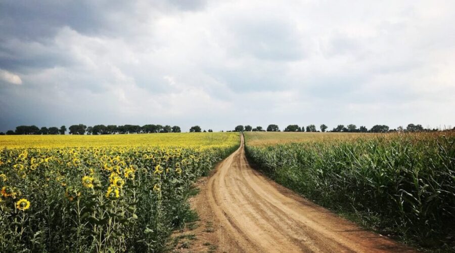 Provincial government more than doubles Agriculture Road Program budget