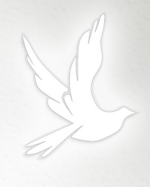 Kathleen (Kaye) Beulah Doak