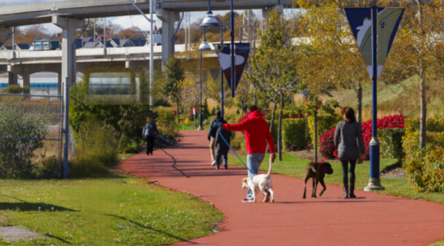 Traffic Advisory: Fallsview Avenue and Gregory Place
