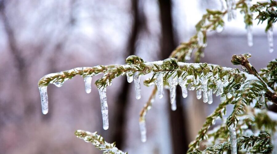 UPDATE: More wintry weather for Friday and Sunday in N.B.
