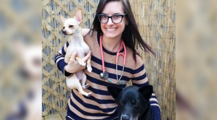 New clinic brings veterinary care closer to uptown Saint John residents