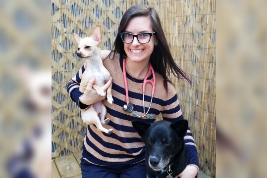 New clinic brings veterinary care closer to uptown Saint John residents