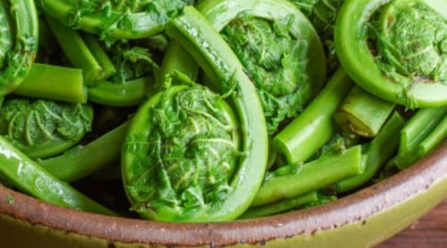 It’s Fiddlehead Season!