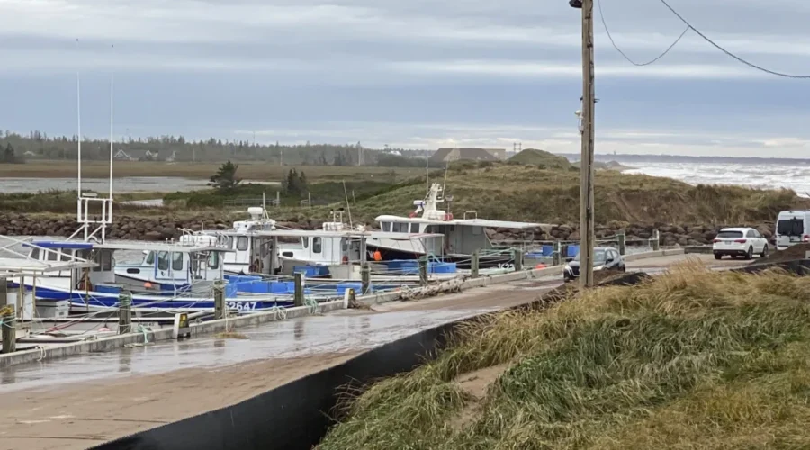 N.B. addresses unreported lobster sales