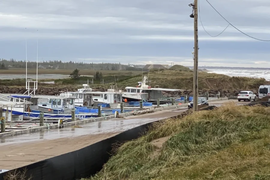 N.B. addresses unreported lobster sales