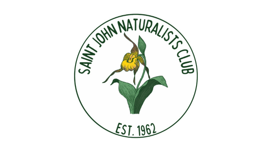 Nature Saint John: May Birding