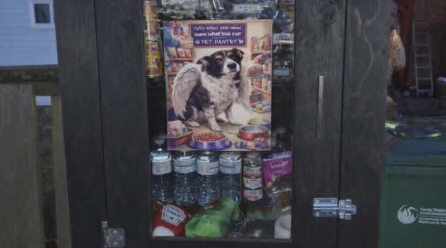 Georgie’s Pet Pantry