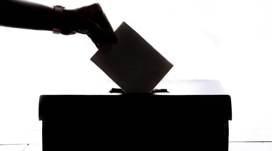 Almost 35,000 vote on day 1 of N.B. municipal advance polls